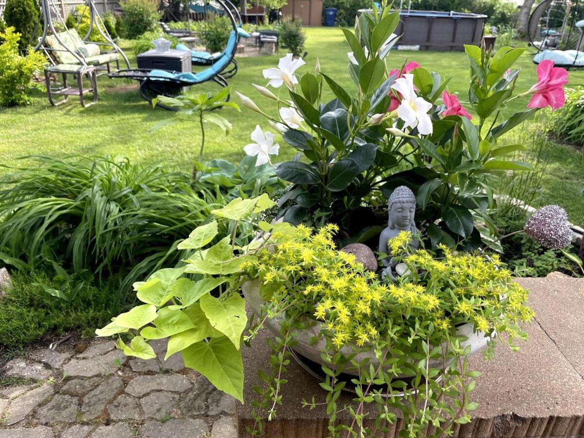 Schaumburg Paradise Oasis With A Secret Garden And Private Pool Bagian luar foto